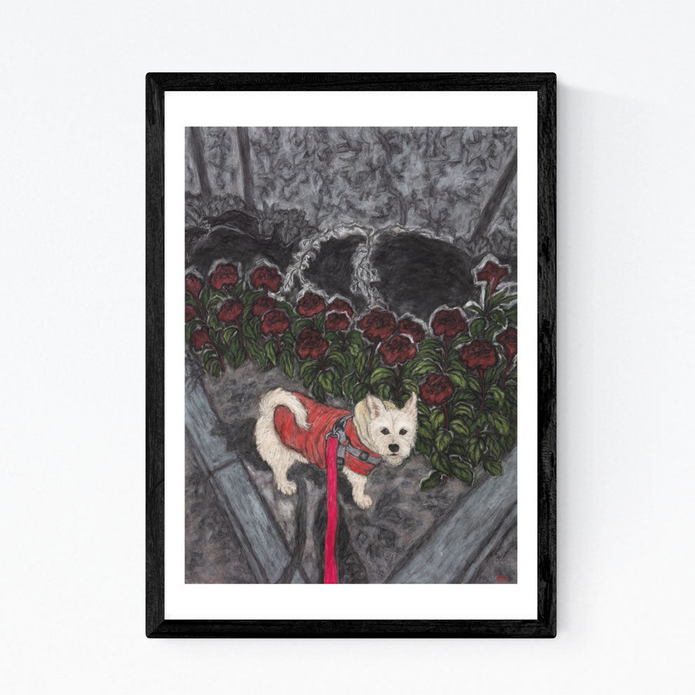 Christine Bae Red Flower and Pucci Fine Art Prints Open Edition
