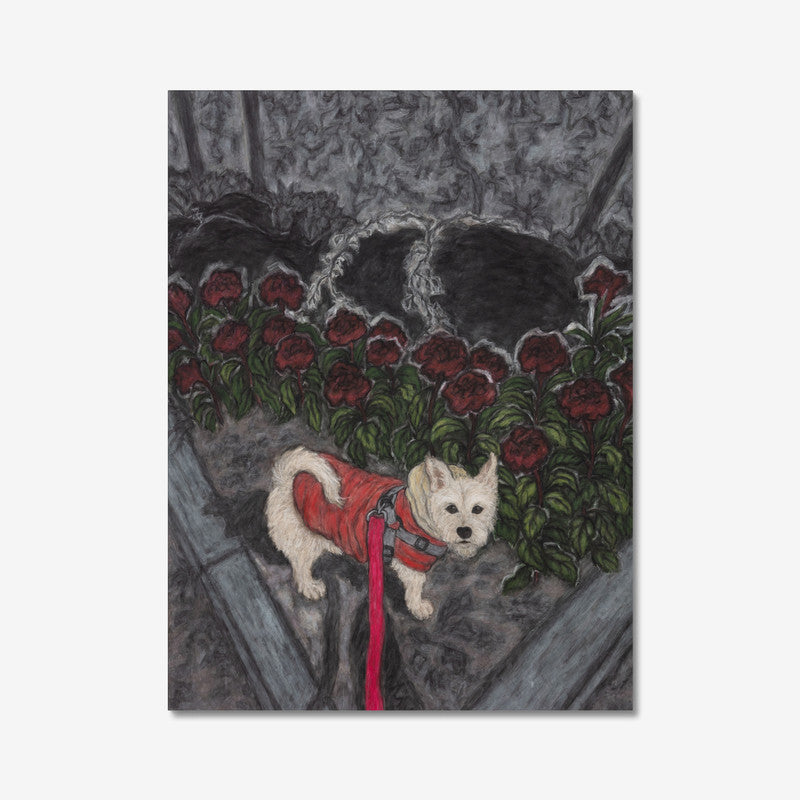 Red Flower and Pucci Canvas Print