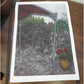 Christine Bae Red Ceiling Art Print Open Edition