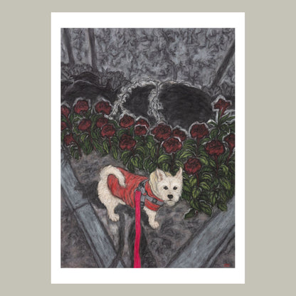 Christine Bae Red Flower and  Pucci Fine Art Prints Open Edition